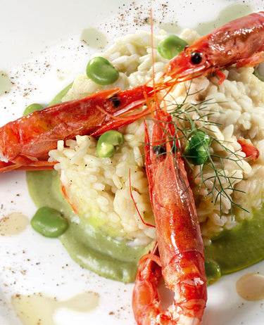 foto ricetta Risotto ai gamberi rossi su vellutata di fave 