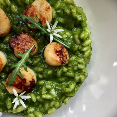 SCALLOP RISOTTO WITH ROCKET PUREE 